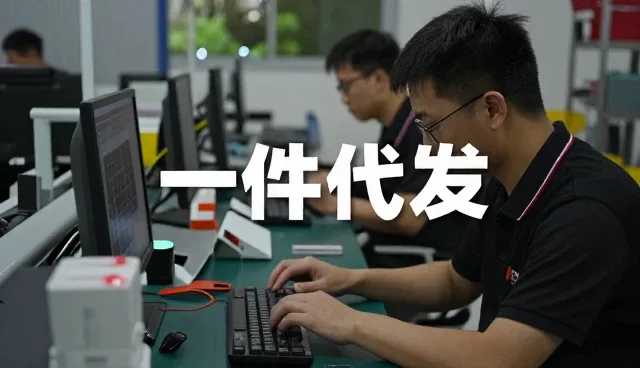 批发零售一件代发电子商务：从入门到明白